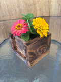 Cedar Mini Planter