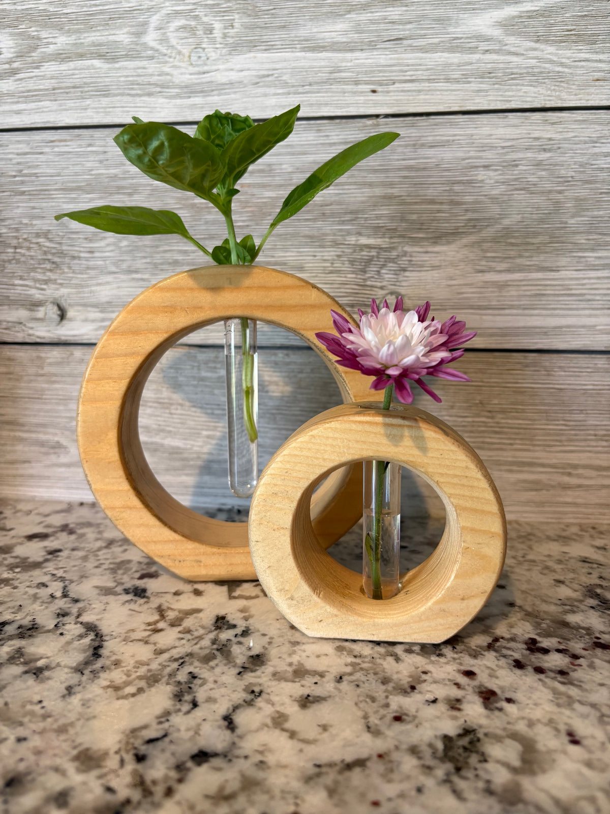 Round Bud Vase set